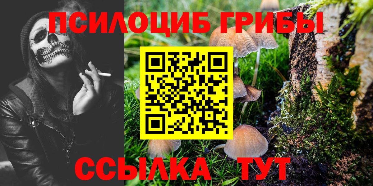 Псилоцибиновые грибы Magic Shrooms Канаш