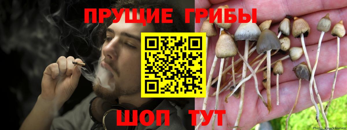 Псилоцибиновые грибы прущие грибы  Вход с VPN  где продают   Канаш 