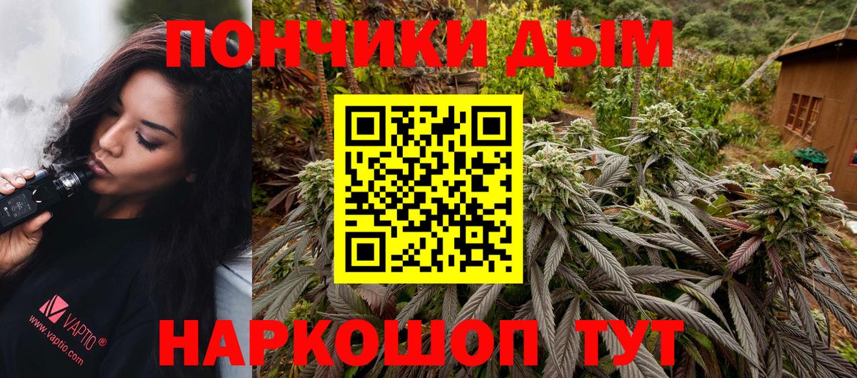 Шишки марихуана LSD WEED Канаш